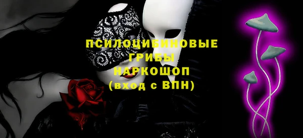 хмурый Куйбышев