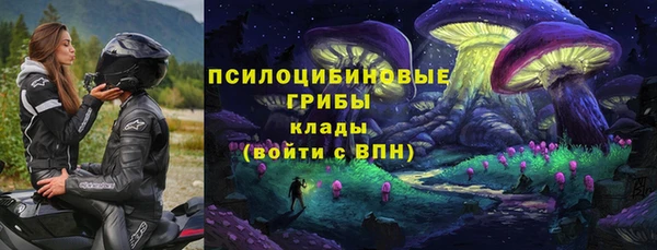 хмурый Куйбышев
