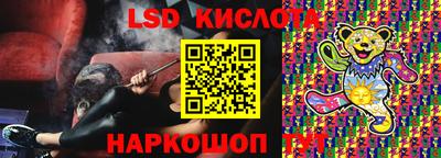 ПСИЛОЦИБИНОВЫЕ ГРИБЫ Гатчина