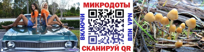 Псилоцибиновые грибы MAGIC MUSHROOMS  закладки  Каменск-Уральский 
