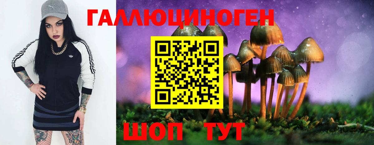 Псилоцибиновые грибы GOLDEN TEACHER Каменск-Уральский